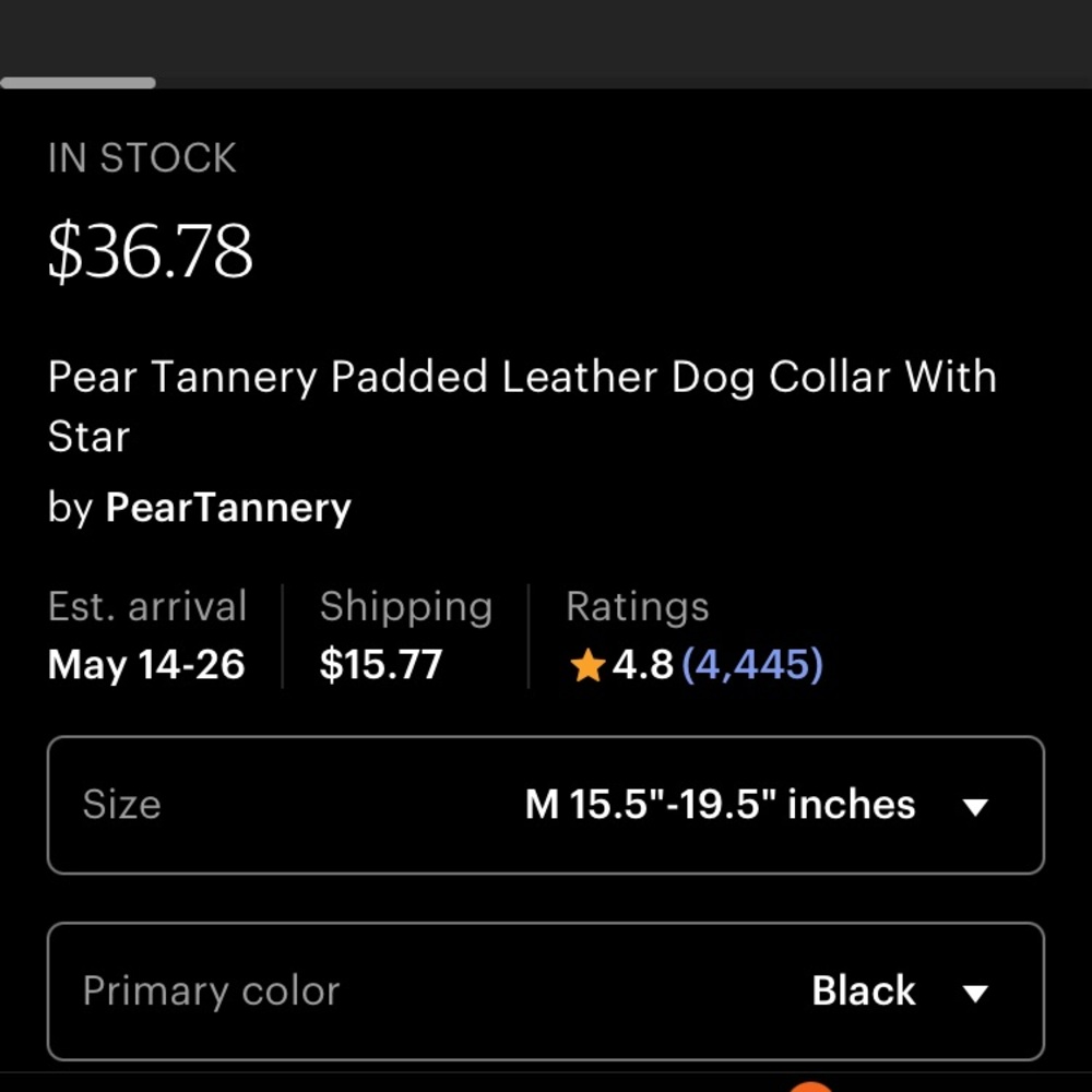 Artisan Made Padded Leather Dog Collar w Star Studs - Picture 9 of 11
